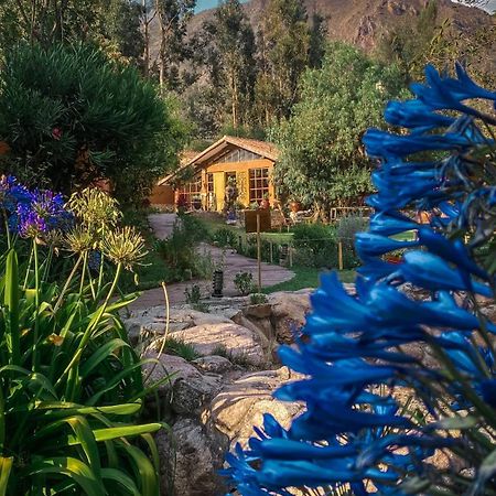 Andean Wings Valley Urubamba Exteriér fotografie